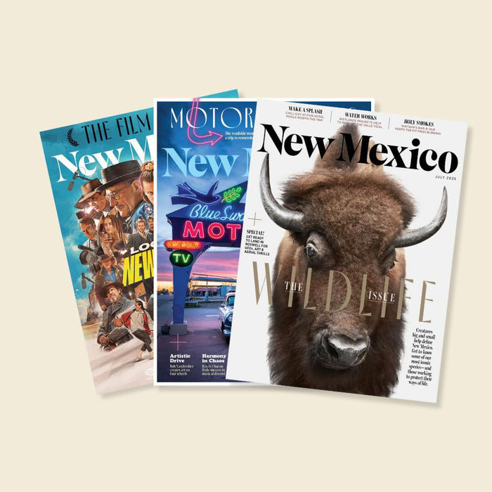New Mexico Magazine