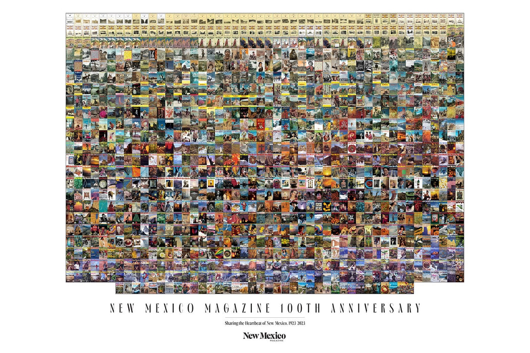 100 Years of Covers Poster UNFRAMED 18x27