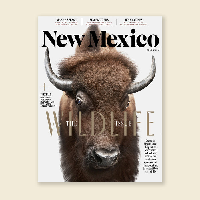 New Mexico Magazine July 2025 Issue