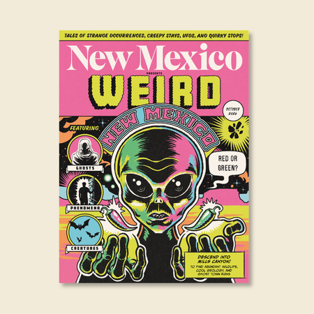 Colorful comic‑style magazine cover titled “New Mexico Weird,” featuring a large alien illustration and themed icons for ghosts, phenomena, and creatures.